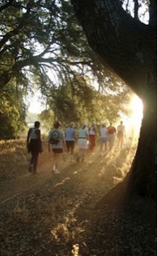 Phyllis Pilgrim: Teaching